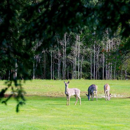 לינה וארוחת בוקר Bragg Creek Sleepy Creek Country Manor מראה חיצוני תמונה